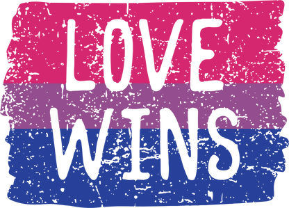 Black Love Wins LGBTQ hoodie